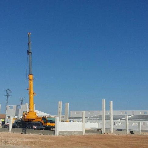 Grúas Vallarín grúa en nave para ganadería