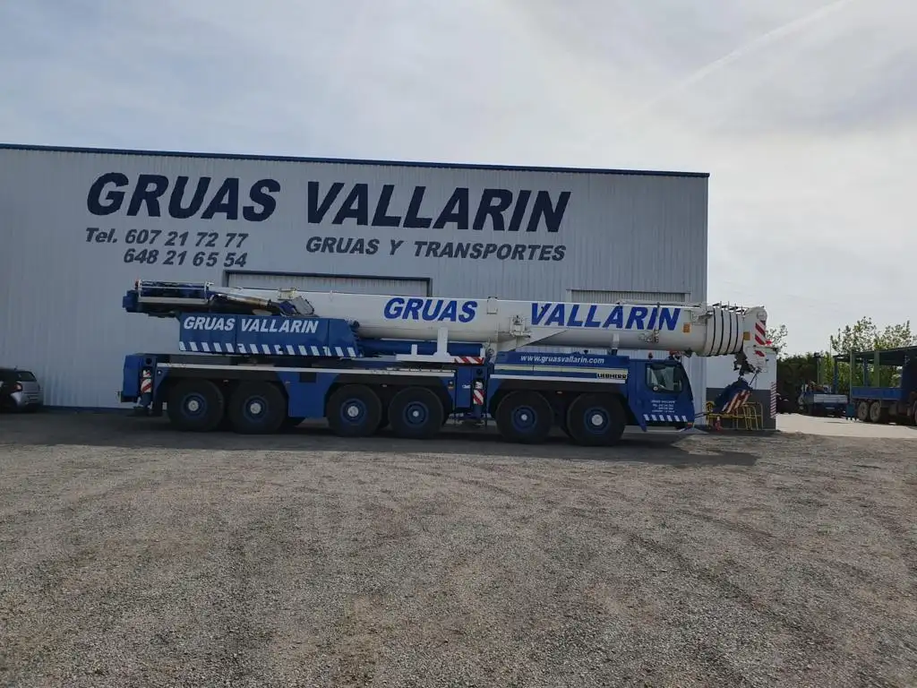 Puerta grúas Vallarin